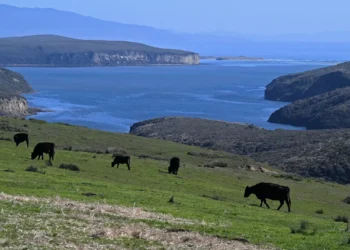 Lawsuit alleges ‘conspiracy’ in Point Reyes farmland deal