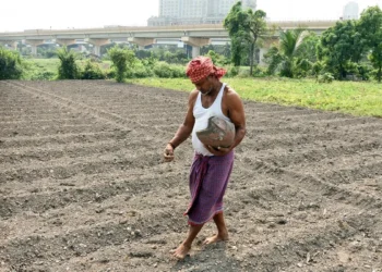 Govt aims to raise farmers’ incomes through PM Dhan Dhaanya Krishi Yojana