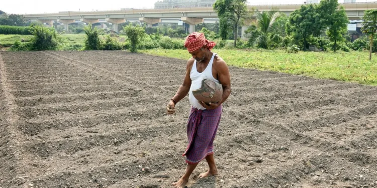 Govt aims to raise farmers’ incomes through PM Dhan Dhaanya Krishi Yojana