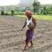 Govt aims to raise farmers’ incomes through PM Dhan Dhaanya Krishi Yojana