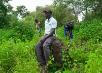 Archaeologists use song to herald findings in Guinea-Bissau dig