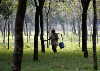 Rubber Board to kick start geo-mapping of plantations next week