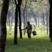 Rubber Board to kick start geo-mapping of plantations next week