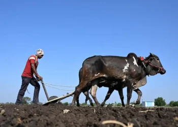 Silent Graves, Forgotten Farmers: Maharashtra’s battle between history and survival
