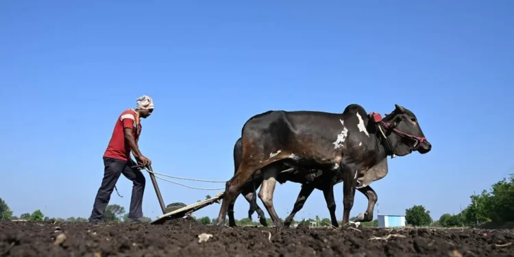 Silent Graves, Forgotten Farmers: Maharashtra’s battle between history and survival