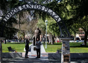 FBI raid: Who is Mary Jo Rossi, the prolific Contra Costa County consultant visited by the feds?