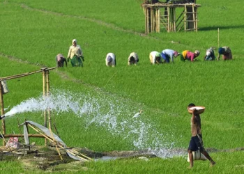 Centre to consult stakeholders on farmers’ legal MSP demand, next round May 4