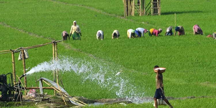 Centre to consult stakeholders on farmers’ legal MSP demand, next round May 4