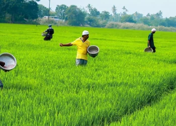 Farmers’ body files complaint to CCI against RCF over forced sales of non-urea products