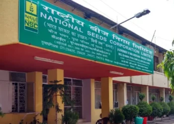 National Seeds Corp registers 14% growth in seeds sales