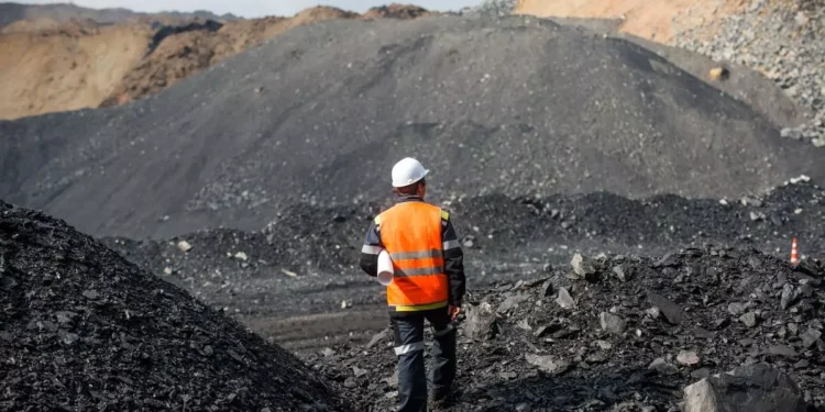 Coal-based power generation in FY25 records lowest growth since Covid: CREA