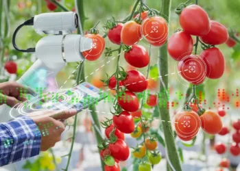 Artificial intelligence – a game changer for Indian agri, says BCG report