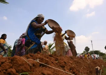 Tamil Nadu allocated most funds from Centre’s rural job scheme so far in FY26; Uttar Pradesh and Bihar follow