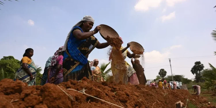Tamil Nadu allocated most funds from Centre’s rural job scheme so far in FY26; Uttar Pradesh and Bihar follow