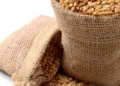 Govt imposes stock limit on wheat; traders, processors asked to offload excess stock in 15 days