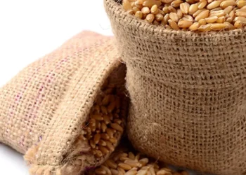 Govt imposes stock limit on wheat; traders, processors asked to offload excess stock in 15 days