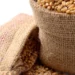 Govt imposes stock limit on wheat; traders, processors asked to offload excess stock in 15 days