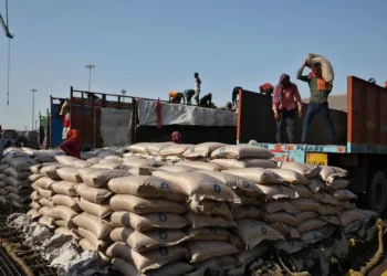 India’s sugar output set to rebound in 2025-26 season