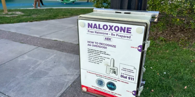 Letters: To honor mothers, do more to stem overdose deaths