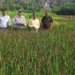 UP plans to set up research centre on Kalanamak GI rice with IRRI