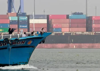 Boycott Turkey call: Restrictions may not hit Indian exports significantly