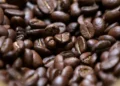 India’s 2025-26 coffee output forecast at 6 million bags amid weather woes: USDA