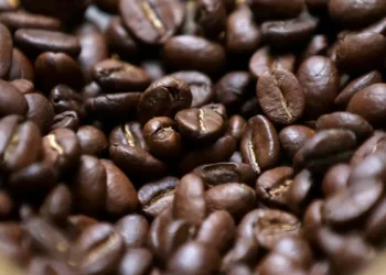 India’s 2025-26 coffee output forecast at 6 million bags amid weather woes: USDA