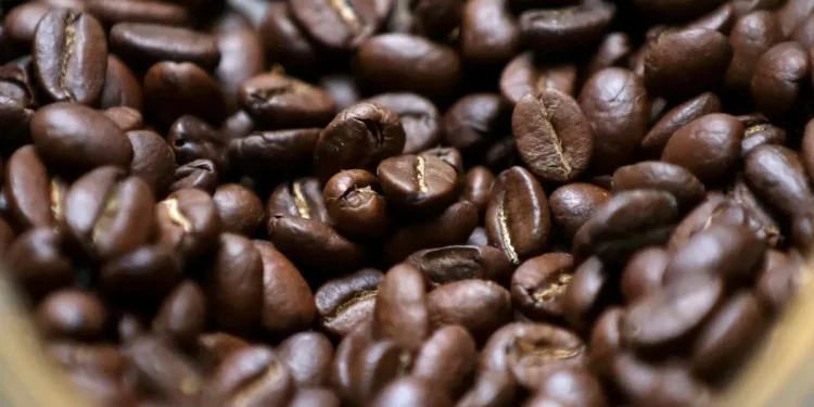 India’s 2025-26 coffee output forecast at 6 million bags amid weather woes: USDA