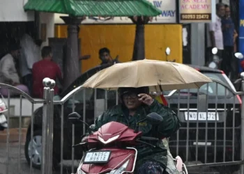 Several parts of Tamil Nadu receive moderate, isolated heavy rain