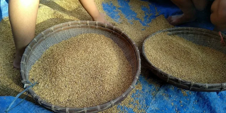 Procurement of rice a tad higher at 472 lakh tonnes