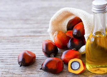 Edible oil companies reduced rates after duty cut, says Indian government