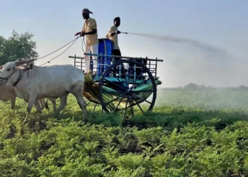 Govt asks select States to increase inter-state trade on e-NAM platform