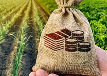 Exports of agriculture products to Afghanistan may drop in FY26