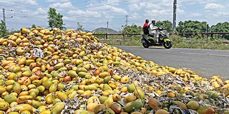 Centre approves purchase of 2.5 lakh tonnes of mangoes from Karnataka at ₹1,616 per quintal under market intervention scheme