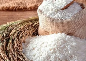 Centre allocates 5.2 mt of rice for ethanol production in 2025-26
