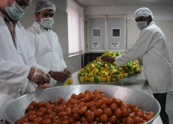 IRCTC received 6,645 complaints related to food quality in 2024-25: Railway Minister