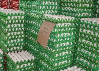 Egg prices crash on price war among producer States, weak demand
