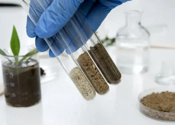 Optimising crop yield through soil testing: A scientific approach to smarter farming