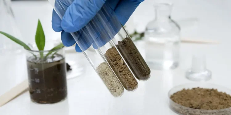 Optimising crop yield through soil testing: A scientific approach to smarter farming