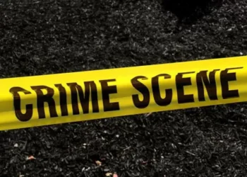 Dog facing euthanization stolen from Oakland Animal Services shelter