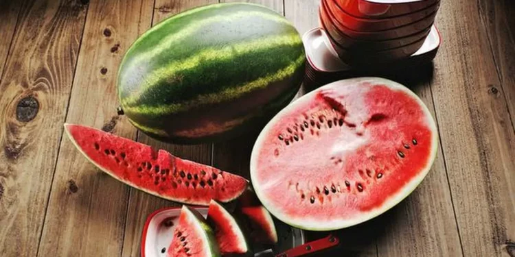 Govt clamps down on illegal watermelon seed imports