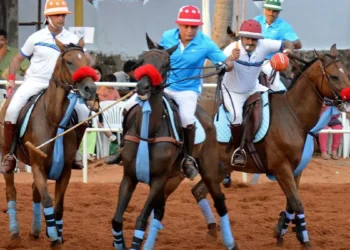 Of mares and memos: A bureaucratic canter through the polo horse duty exemption