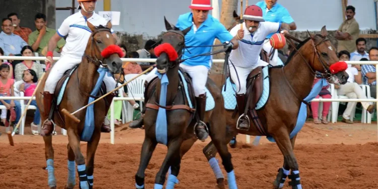 Of mares and memos: A bureaucratic canter through the polo horse duty exemption