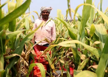 GTRI cautions against imports of GM farm products from US; may affect India’s agri exports