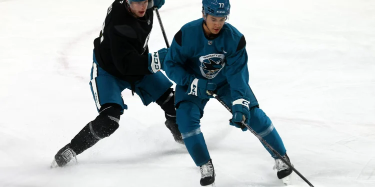 Michael Misa soaks in knowledge from Sharks icons, is steadfast in his goal