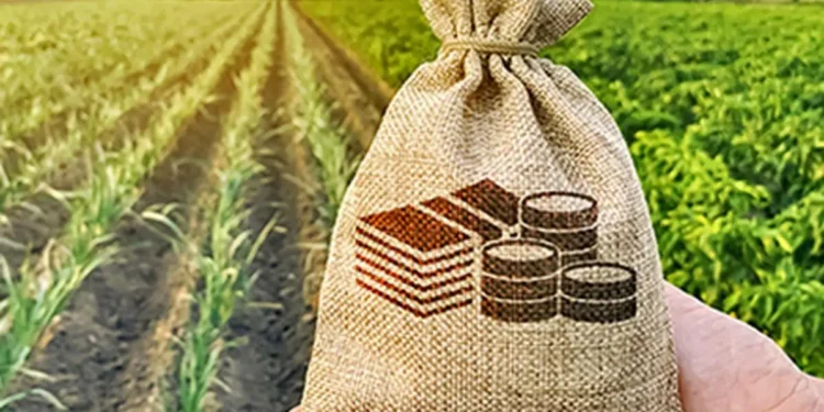 Need to increase R&D investments to strengthen agri: ICAR DG