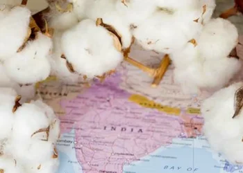 India accepts global certification for organic textile exports