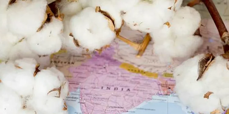 India accepts global certification for organic textile exports