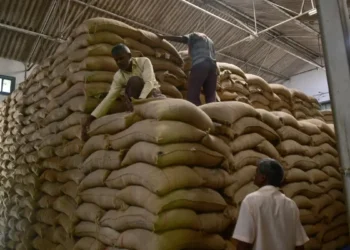 India allocates 5 lakh tonnes of rice and wheat each to be sold under ‘Bharat’ brand