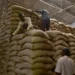India allocates 5 lakh tonnes of rice and wheat each to be sold under ‘Bharat’ brand
